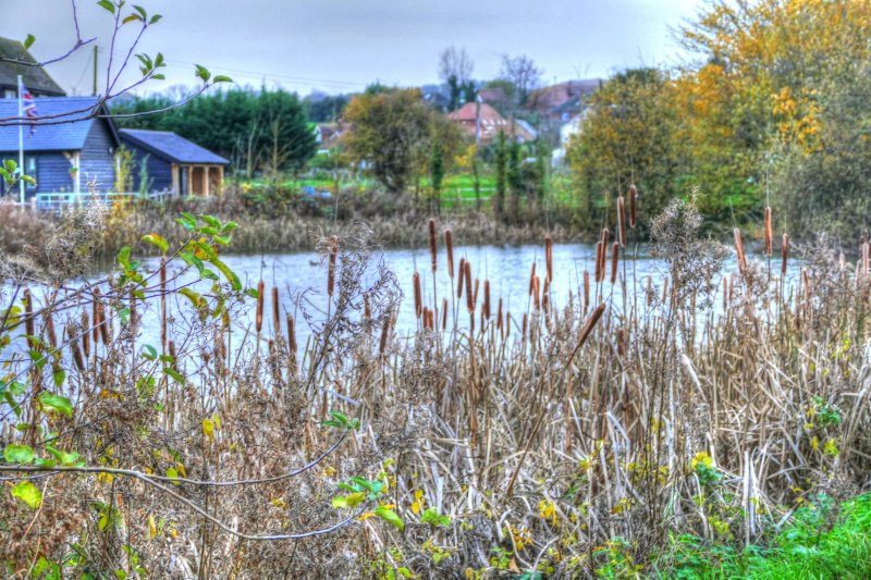 P1330455_Painterly 2.jpg