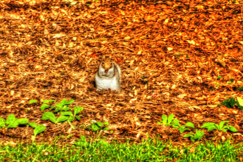 P1350076_Painterly 4.jpg