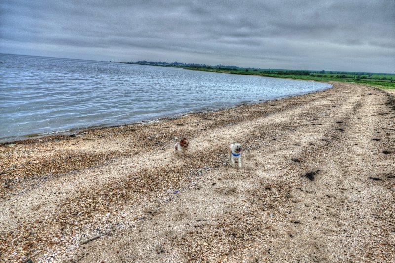 P1350683_Painterly 4.jpg