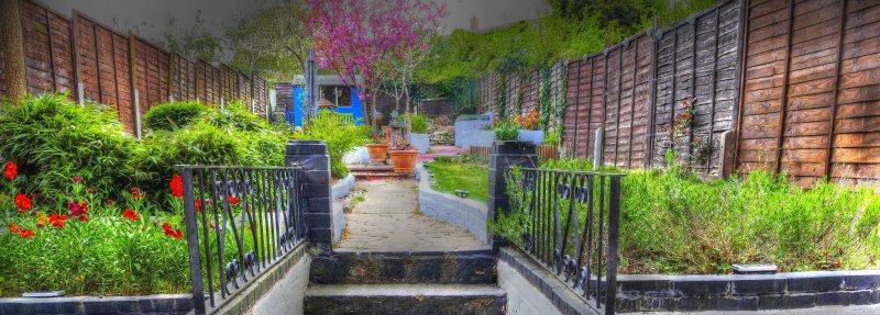 P1370025_Painterly 2.jpg