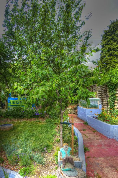 P1370233_Painterly 2.jpg