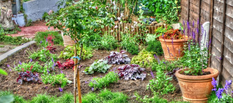 P1370612_Painterly 4.jpg