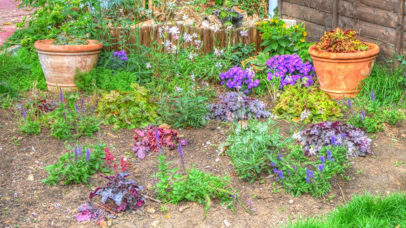 P1370671_Painterly 2.jpg