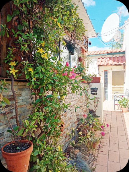 Path to Courtyard 18 May 24.jpg