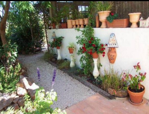 Pathway under Jak2.jpg