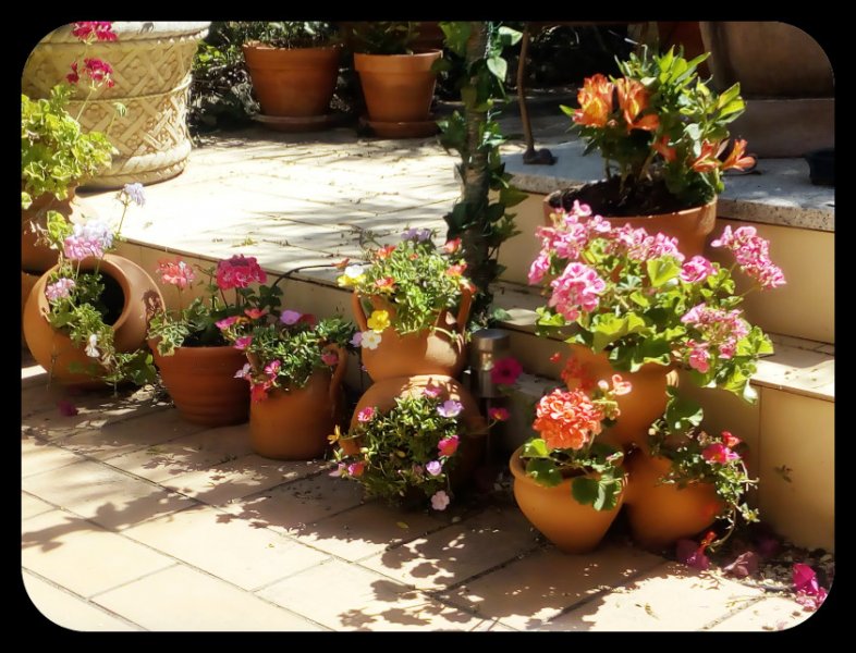 Patio Border 7 Jun.jpg