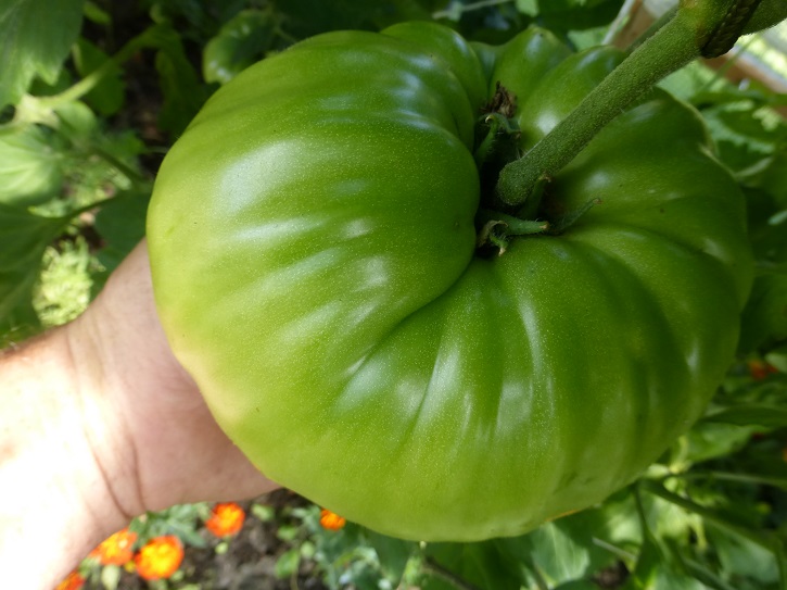 phils fantastic 29.8.2015.jpg