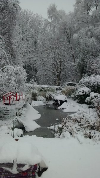 phonephoto2015 065.jpg