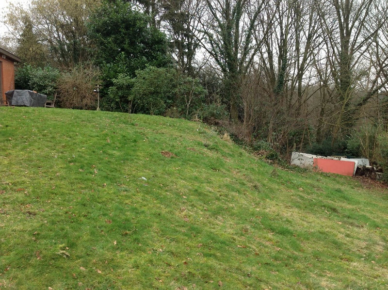 photo(1) (800x598).jpg