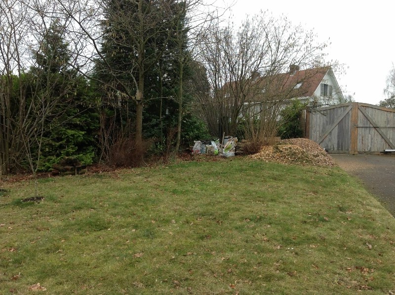 photo(10) (800x598).jpg