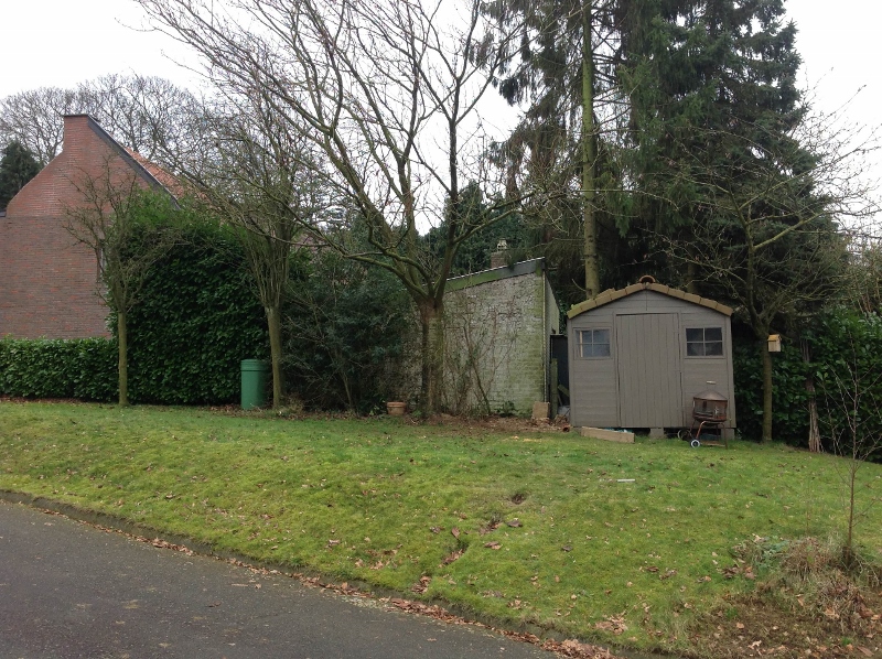 photo(12) (800x598).jpg