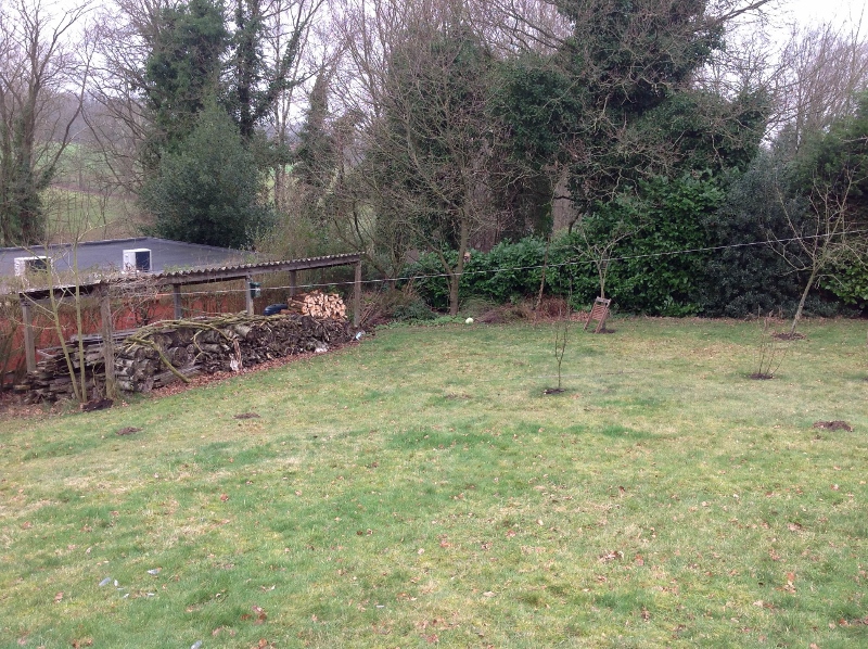 photo(2) (800x598).jpg