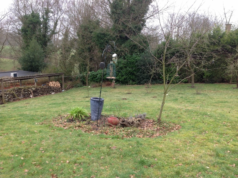 photo(3) (800x598).jpg