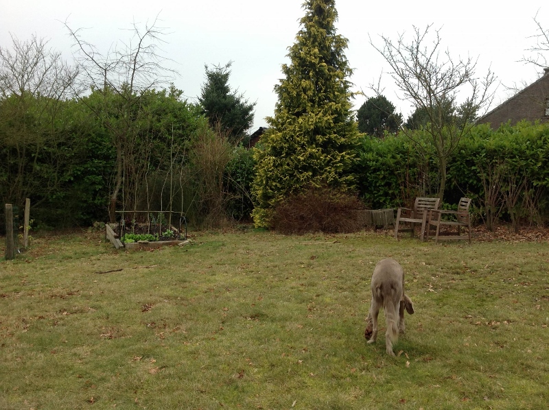 photo(8) (800x598).jpg