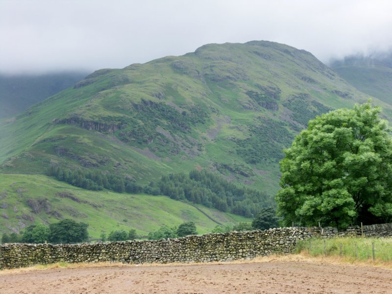 PICT0012 (1280x960).jpg