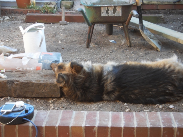 PICT0065 (640x480).jpg