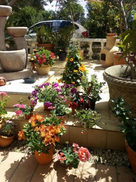 Pina1 11 May 21(1).jpg