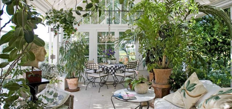 plant-conservatory.jpg