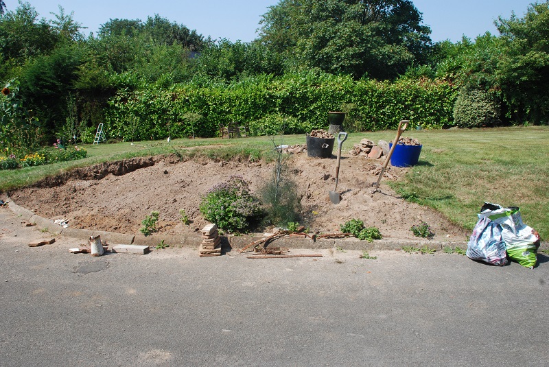 plant identification 002.JPG