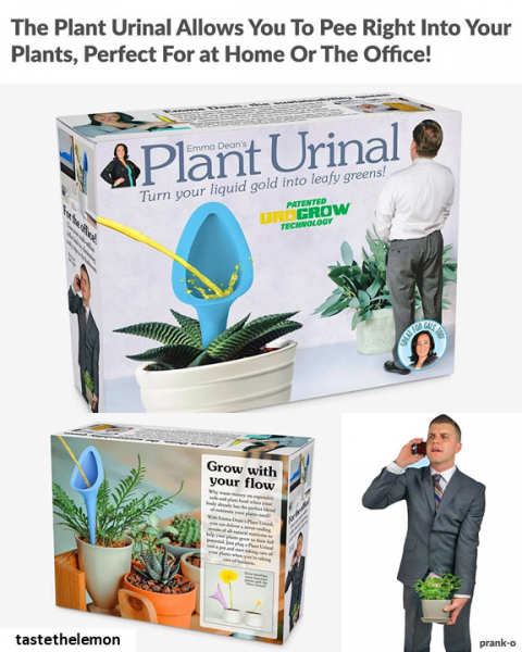 Plant Urinal.png
