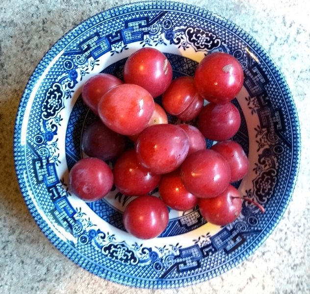 plums2.jpg