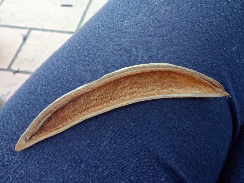 Pod Inside 26 Jun 22.jpg