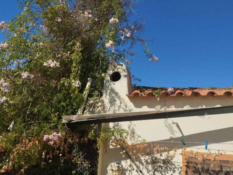 Podranea Kitchen 15 Sep 25.jpg