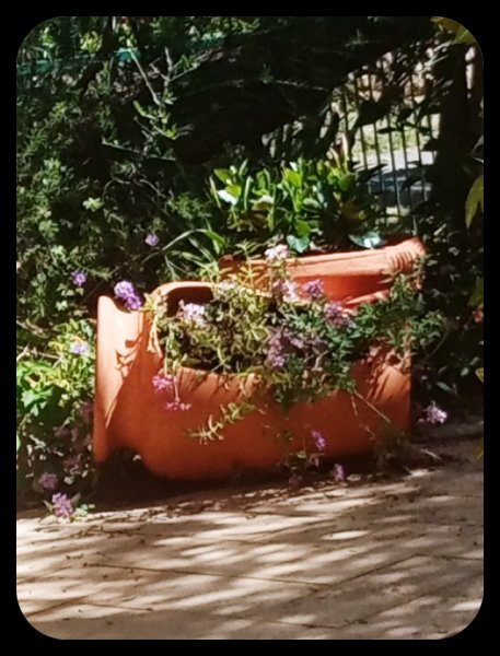 Pois and Dips 14 Apr 2214 Apr 22.jpg