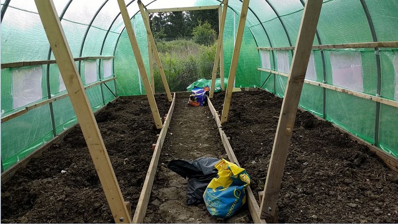 polytunnel borders.jpg