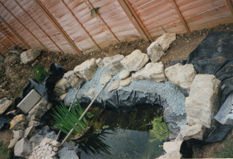 pond4.jpg
