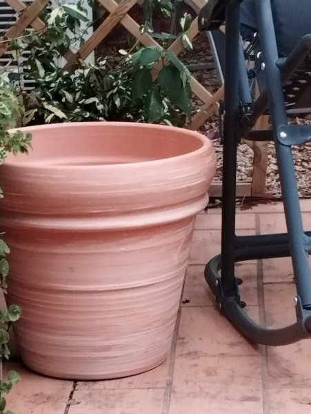 Pot Rustico ot 23 Sep 35.jpg