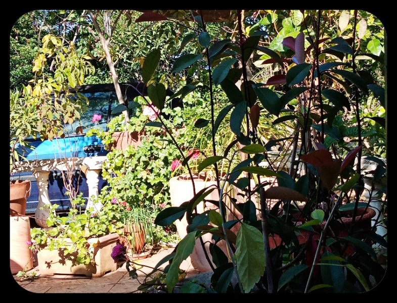 Pots on Dancefloor 5 May 22.jpg