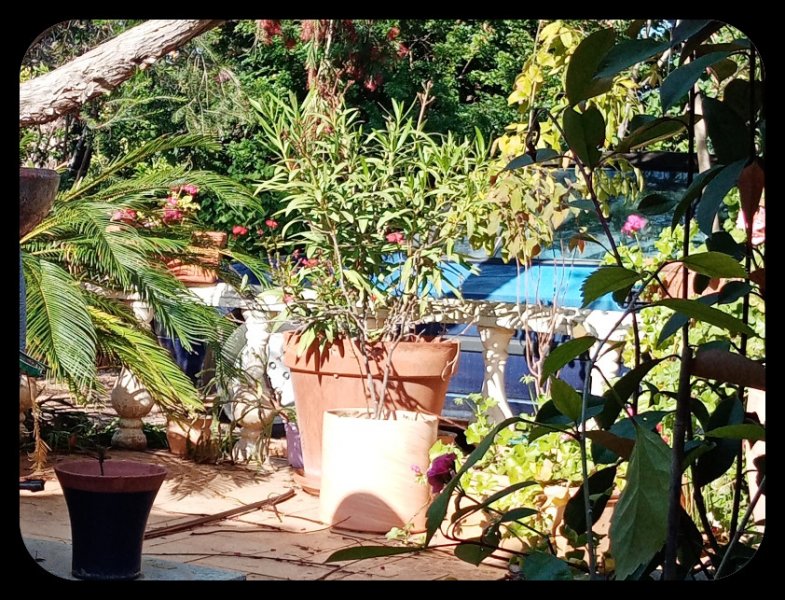 Pots on Dancefloor2 5 May 22.jpg