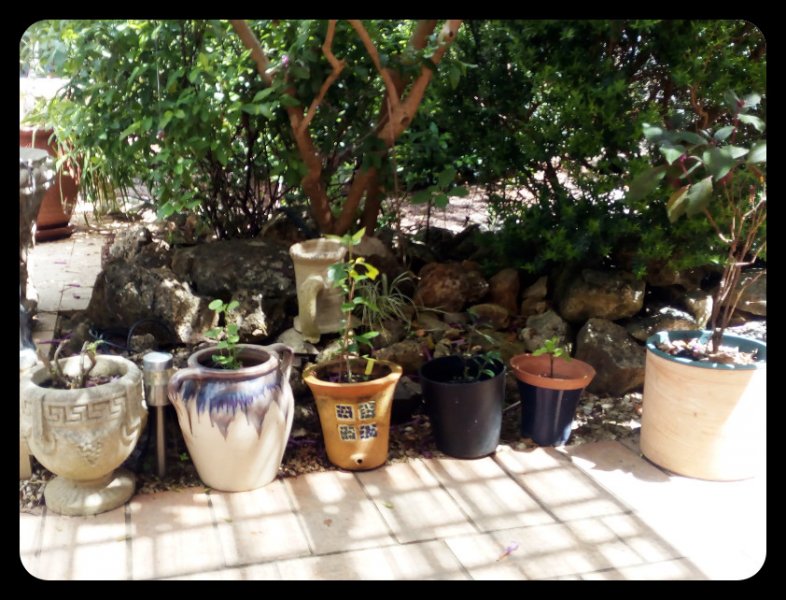 Pots on Sandbar 16 Apr 21.jpg