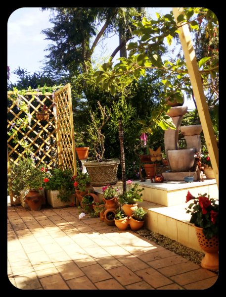 Pots x 3 17 Apr 21.jpg