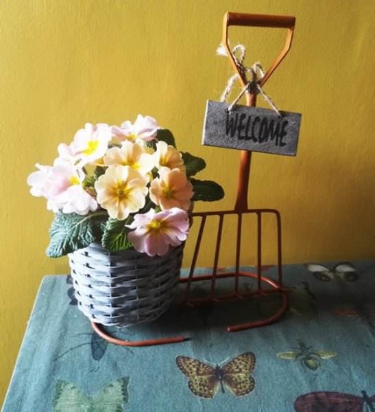 PRIMULA_ 18_3-2018.jpg