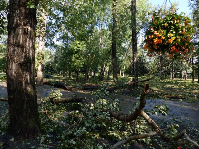 Prince's I. Park F4 - Copy.JPG