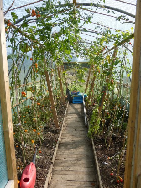 pt toms 29 sept 2015.jpg