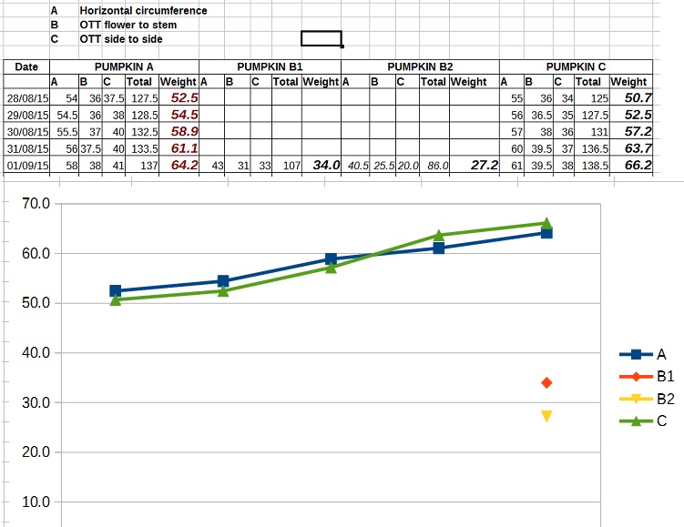 pumpkin weights 2015.jpg