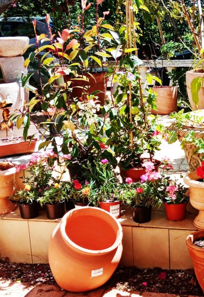 Purchases2 28 Apr 22(1).jpg