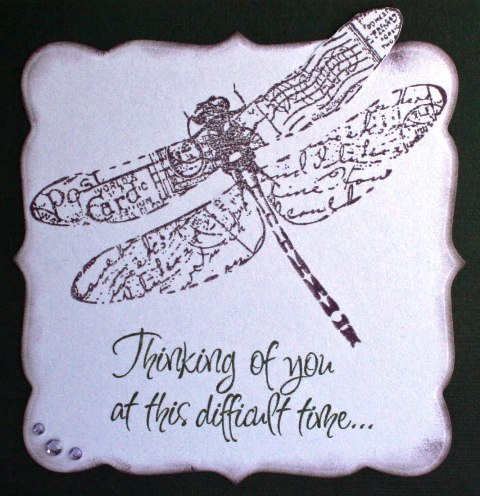 purple dragonfly.jpg