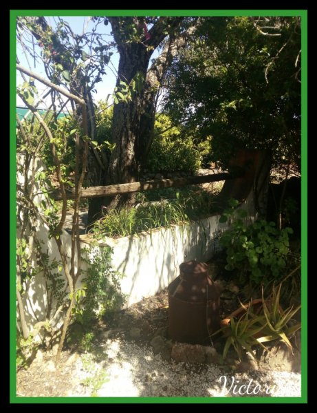 Queens under Almond2 26 Mar 20.jpg