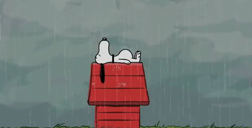 raining-gif-14.gif