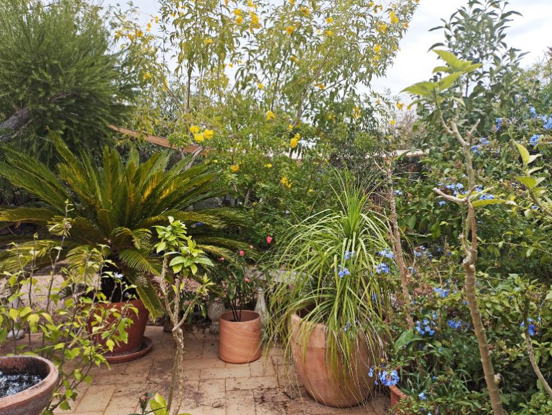 Raised atio1 7 Sep 25.jpg