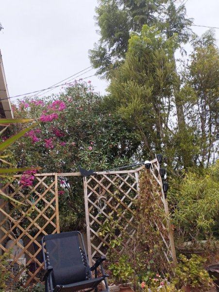 Raised atio3 7 Sep 25.jpg