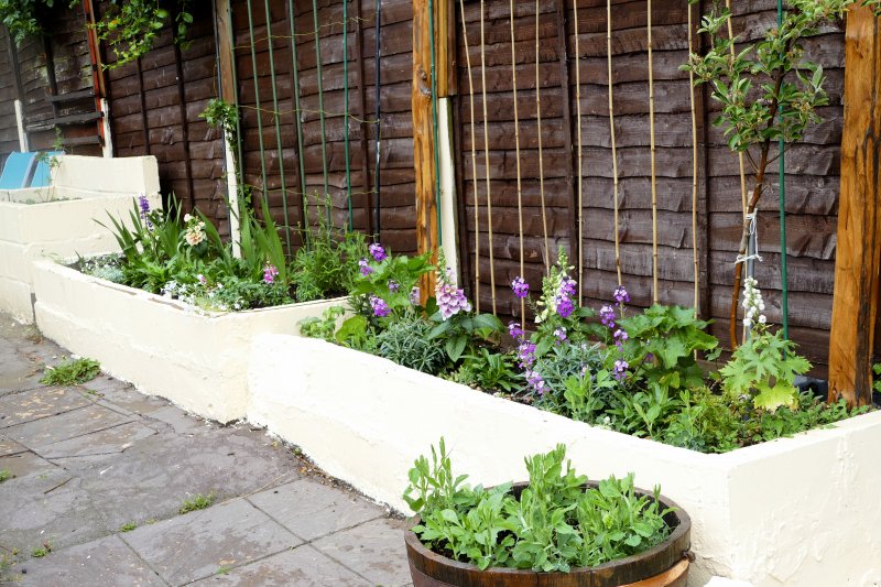 Raised Beds.JPG