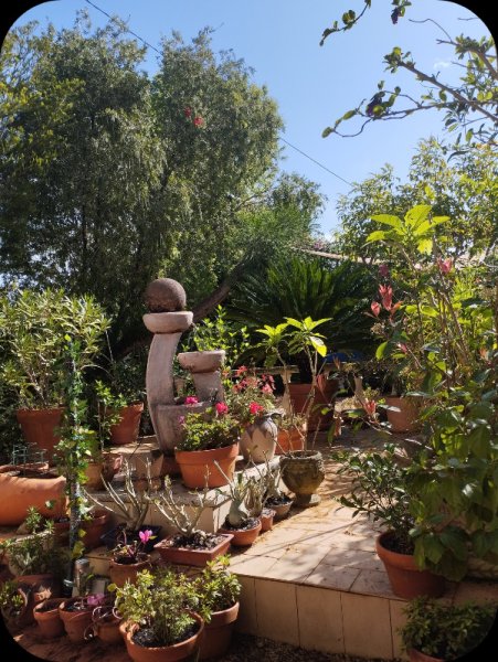 Raised Border2 10 Apr 25.jpg