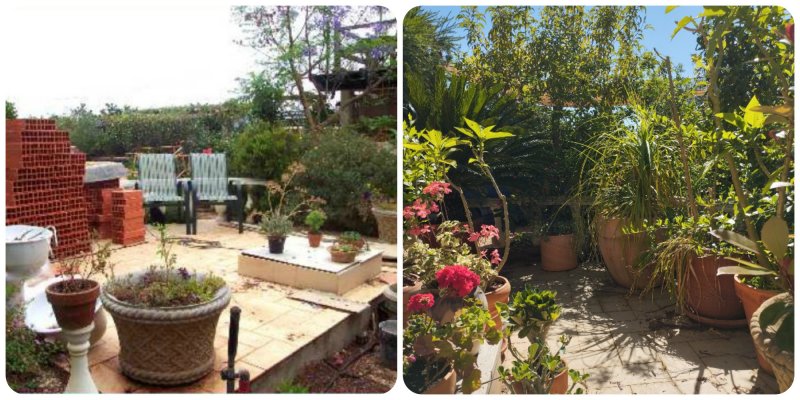 Raised Patio 08-25.jpg