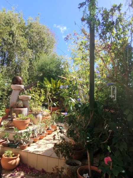 Raised Patio 1 Sep 25.jpg