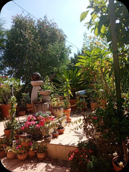 Raised Patio 11 Jun 24.jpg